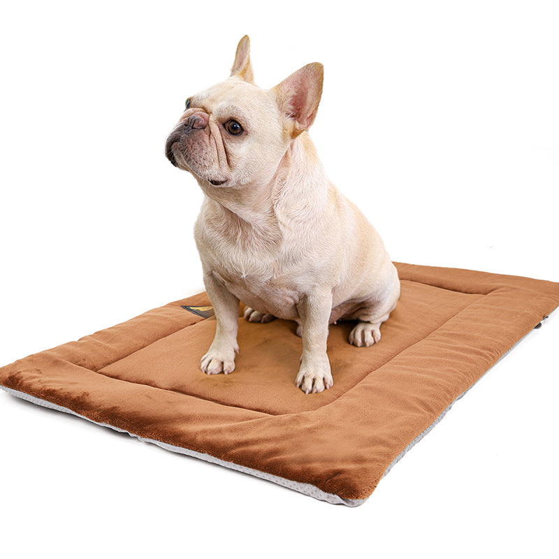 Dog sitting on the brown self-warming mat