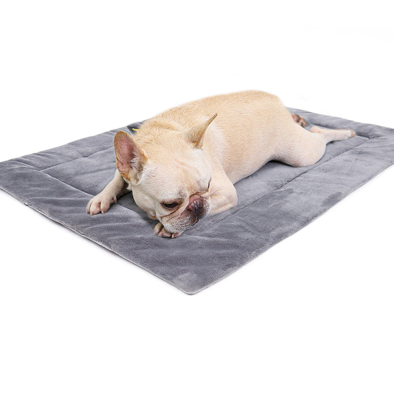 Small dog resting on the grey self-warming mat